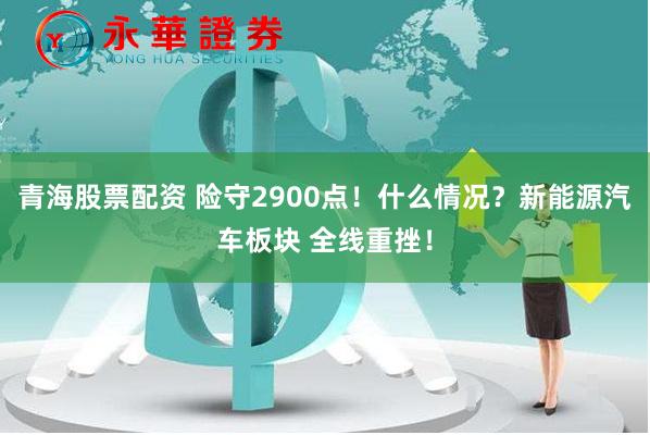青海股票配资 险守2900点！什么情况？新能源汽车板块 全线重挫！