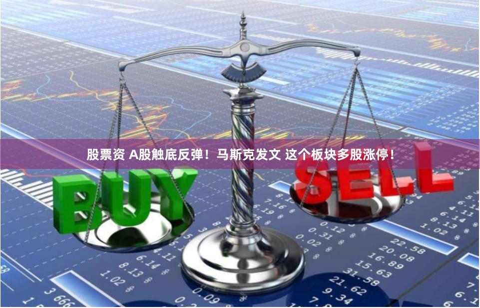 股票资 A股触底反弹！马斯克发文 这个板块多股涨停！