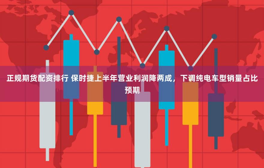 正规期货配资排行 保时捷上半年营业利润降两成，下调纯电车型销量占比预期