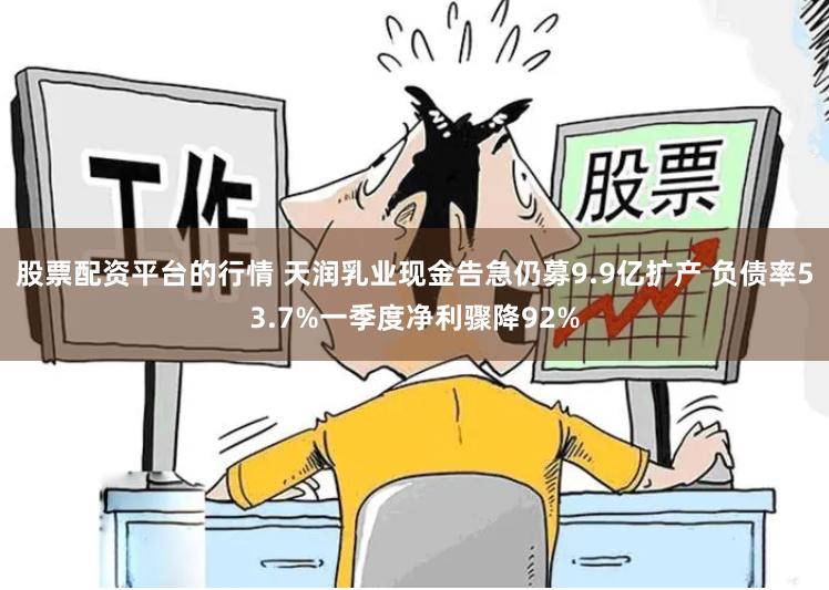 股票配资平台的行情 天润乳业现金告急仍募9.9亿扩产 负债率53.7%一季度净利骤降92%