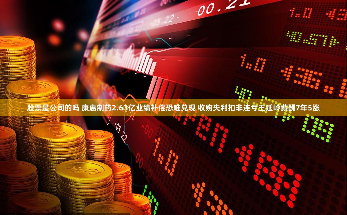 股票是公司的吗 康惠制药2.61亿业绩补偿恐难兑现 收购失利扣非连亏王延岭薪酬7年5涨