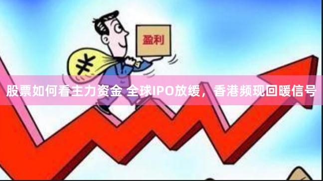 股票如何看主力资金 全球IPO放缓，香港频现回暖信号