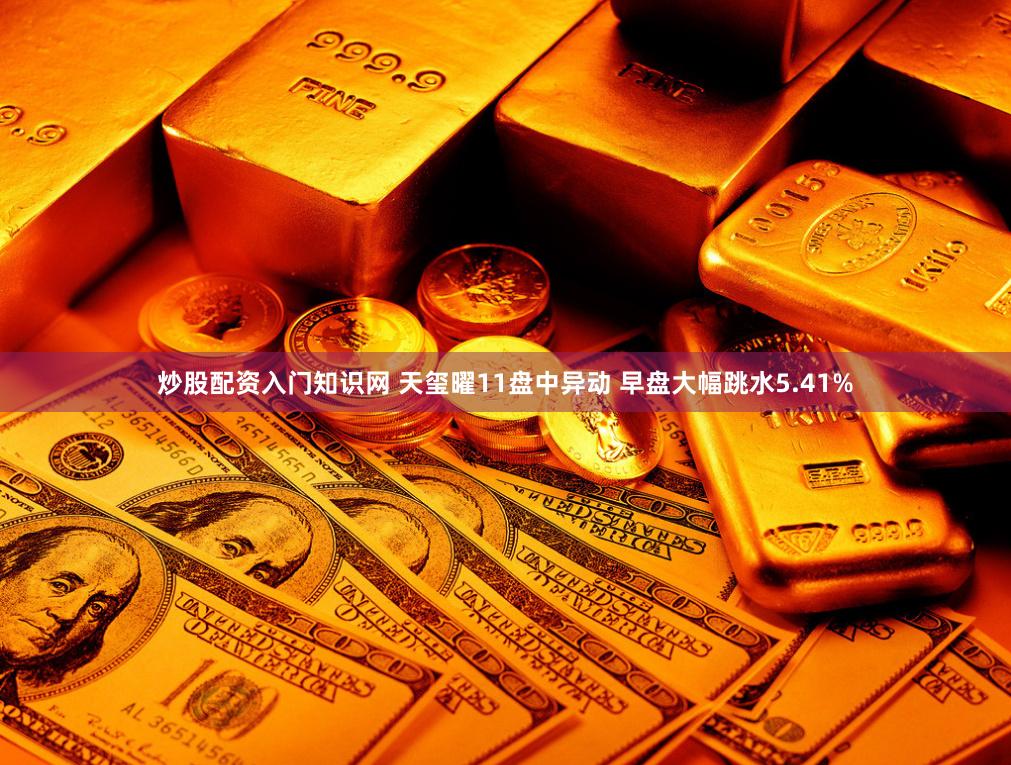 炒股配资入门知识网 天玺曜11盘中异动 早盘大幅跳水5.41%