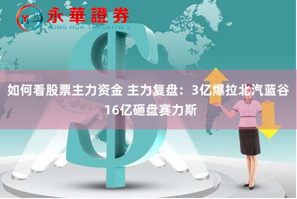 如何看股票主力资金 主力复盘：3亿爆拉北汽蓝谷 16亿砸盘赛力斯