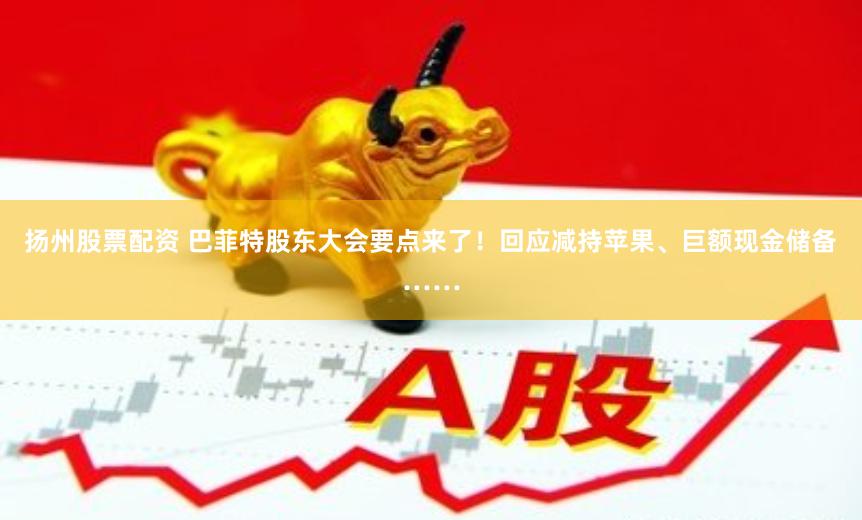 扬州股票配资 巴菲特股东大会要点来了！回应减持苹果、巨额现金储备……