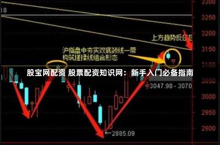 股宝网配资 股票配资知识网：新手入门必备指南