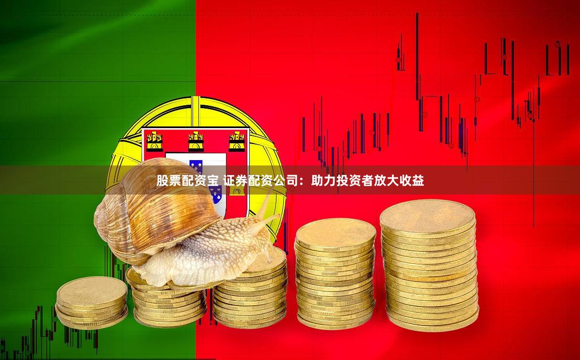股票配资宝 证券配资公司：助力投资者放大收益